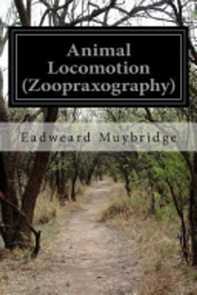 Animal locomotion