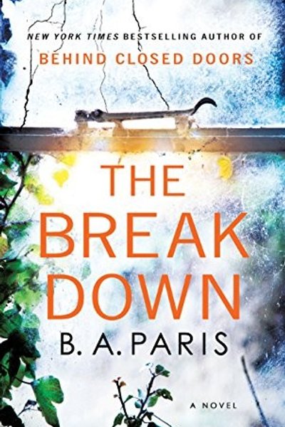 Cover of The Breakdown
