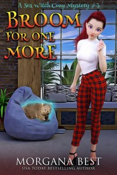 Cover of Broom for One More