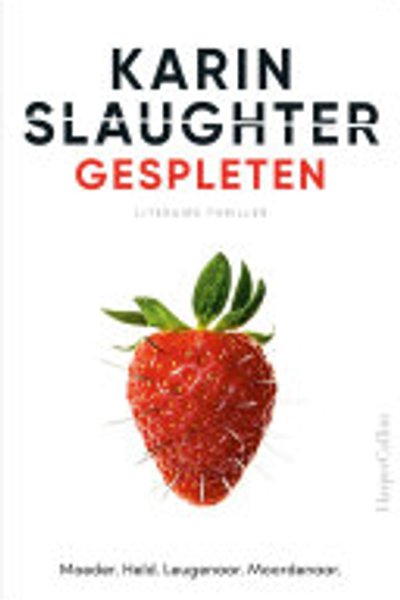 Cover of Gespleten