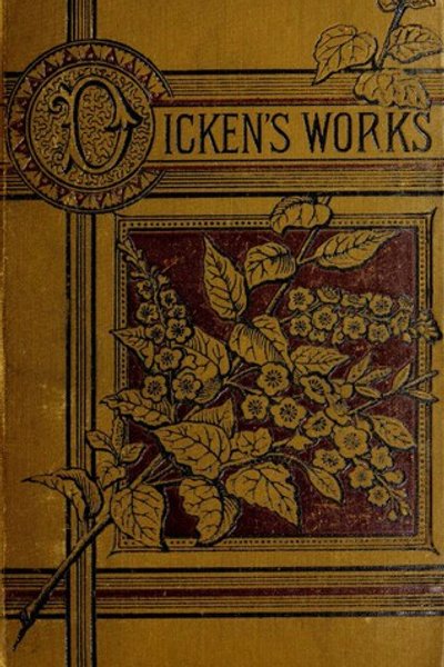 Cover of Novels (A Tale of Two Cities / Great Expectations)