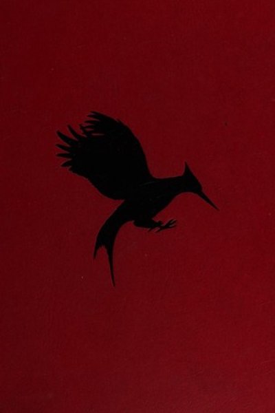 Cover of Catching Fire