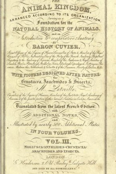 Cover of The animal kingdom