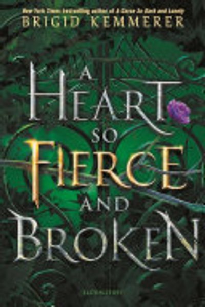 Cover of A Heart So Fierce and Broken