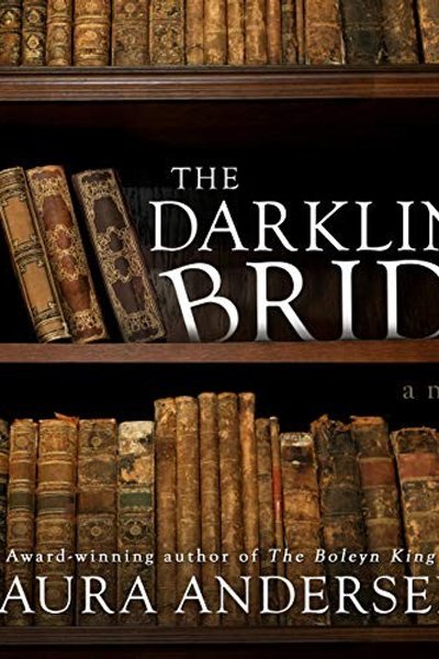 Cover of The darkling bride