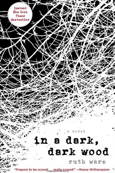 In a Dark, Dark Wood