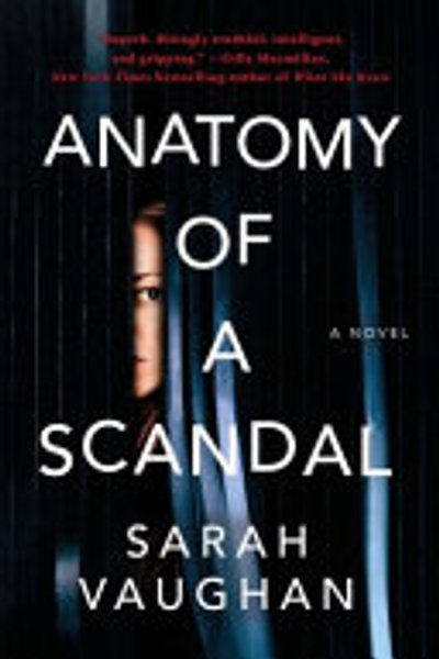 Cover of Anatomy of a Scandal: A Novel