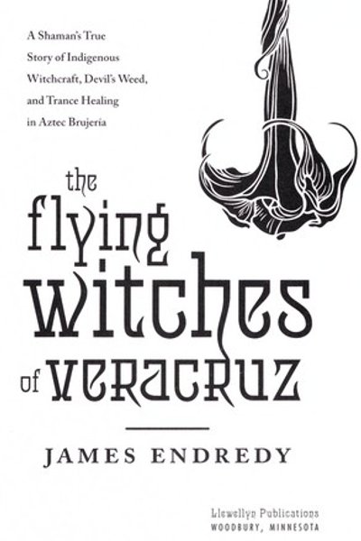 Cover of Flying Witches of Veracruz