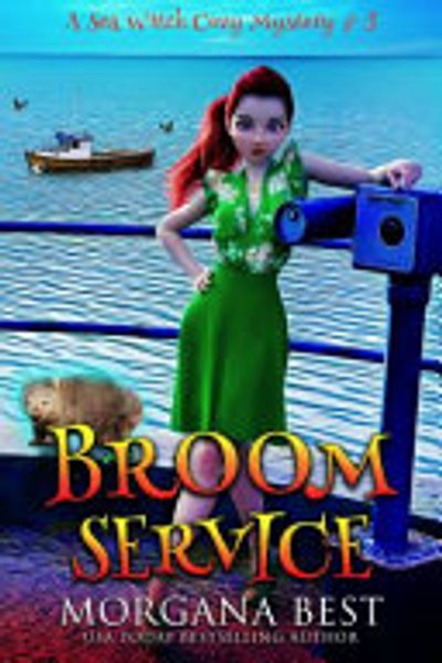 Cover of Broom Service Large Print