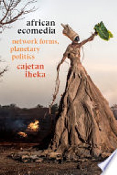 African Ecomedia