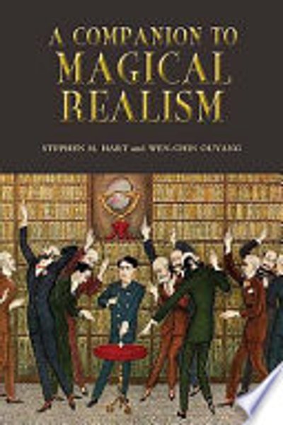 Cover of A companion to magical realism