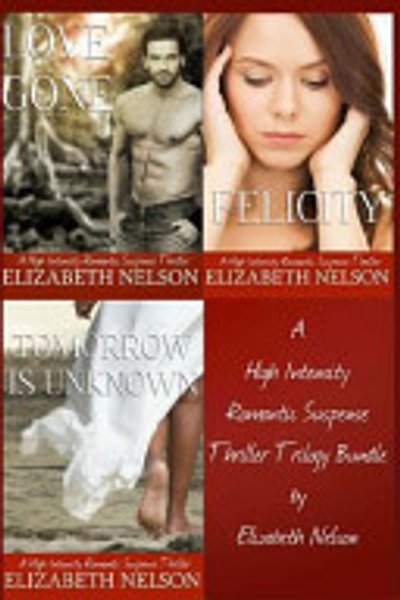 Cover of High Intensity Romantic Suspense Thriller Trilogy Bundle Pack