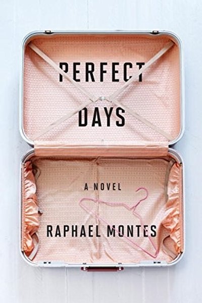 Cover of Dias Perfeitos